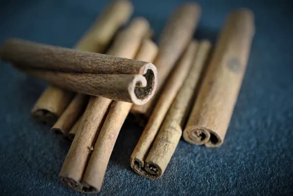 Unlocking Nature’s Secret to Stable Blood Sugar: The Power of Blood Sugar Ultra Cover