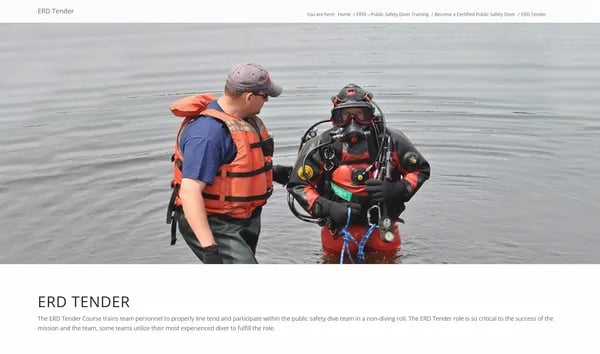 Beyond the Surface: The Unsung Heroes and Hidden Lessons of the ERD Tender Course Cover